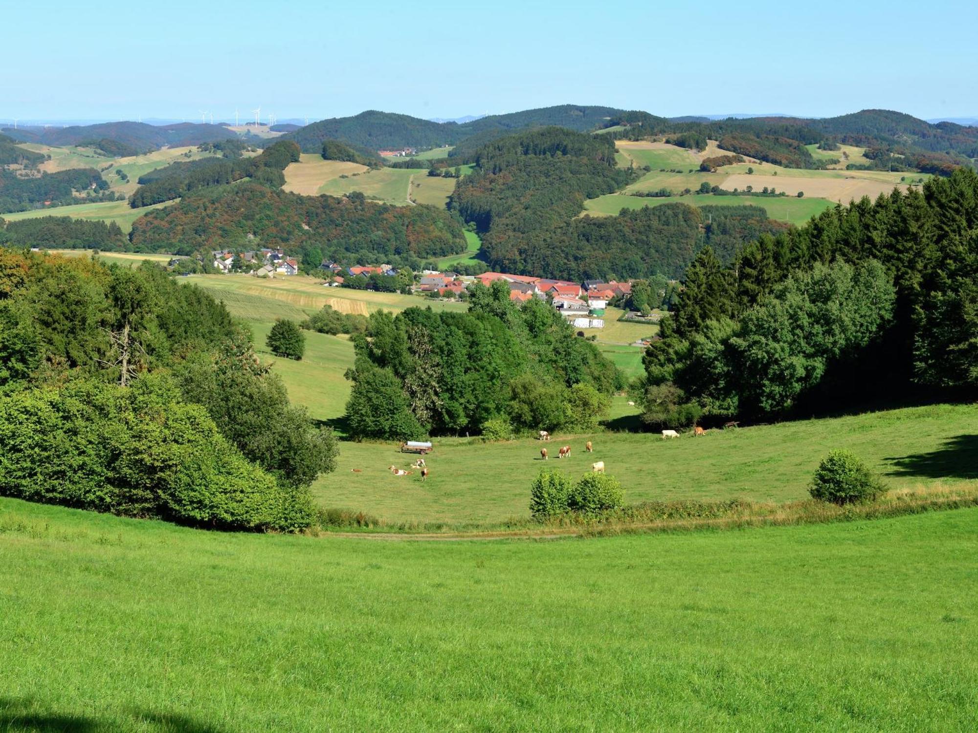 Quaint Apartment In Eimelrod Near Lake And Water Sports Willingen  Εξωτερικό φωτογραφία